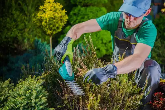landscaping services Melbourne